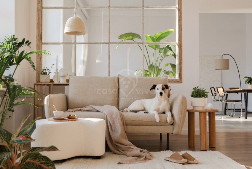Elegant living room interior design with dog lying on beige mode