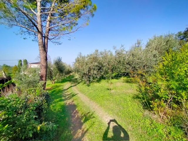 santa cristina (22)
