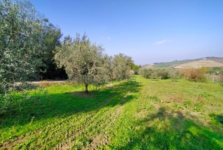 santa cristina (24)