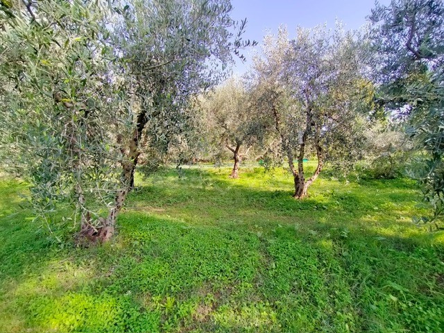 santa cristina (26)