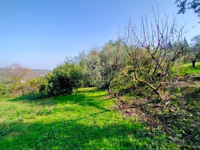 santa cristina (27)