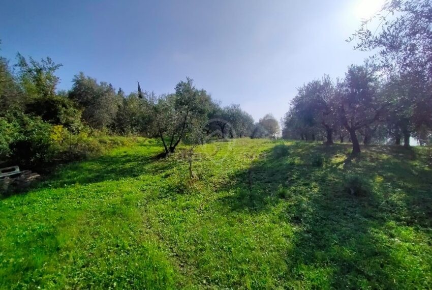 santa cristina (28)