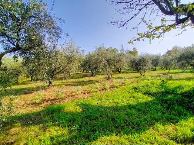 santa cristina (29)