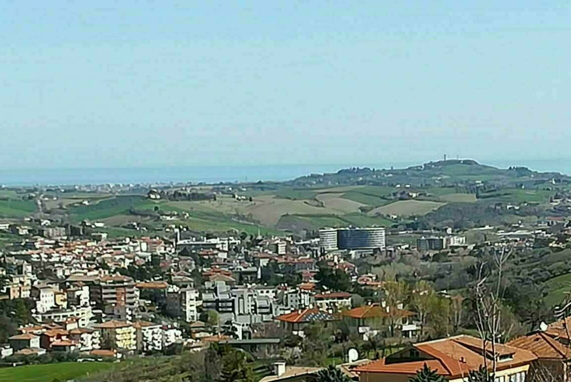fiorina (7)